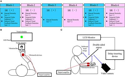 Subthreshold Vibrotactile Noise Stimulation Immediately Improves <mark class="highlighted">Manual Dexterity</mark> in a Child With Developmental Coordination Disorder: A Single-Case Study